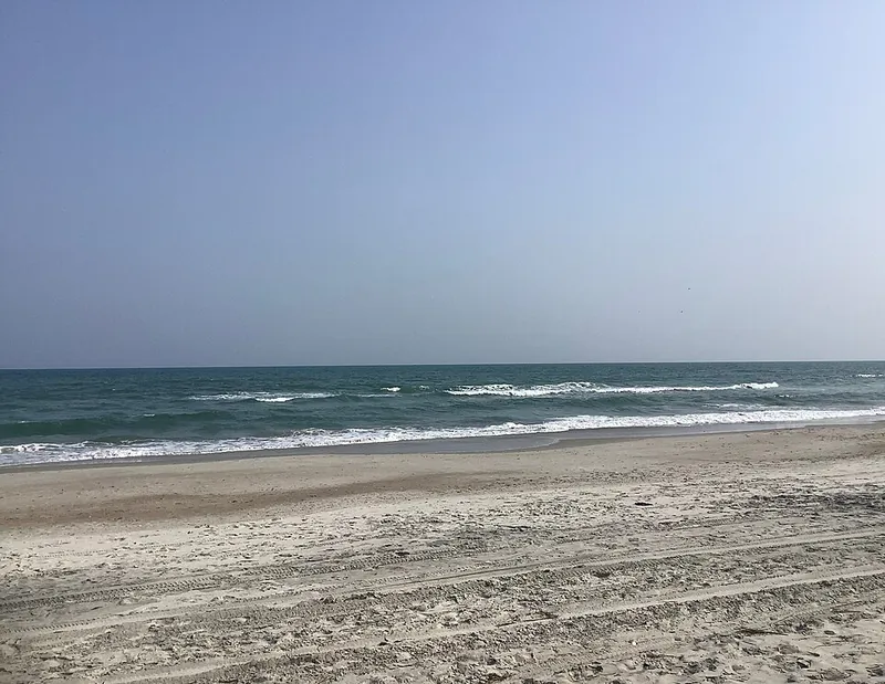 Beach on Bear Island, Hammocks Beach State Park
