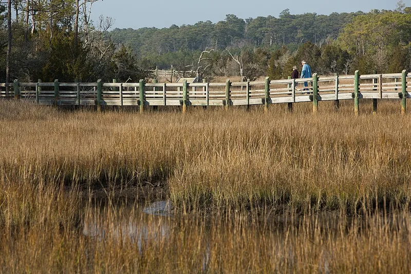 Boardwalk over the salt marsh on the Tideland Trail