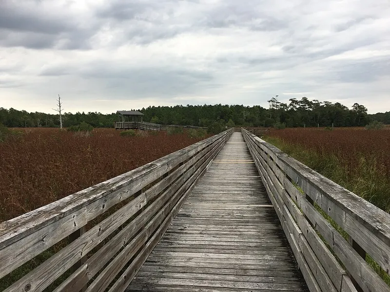 Boardwalk over the marsh at Latham-Whitehurst Nature Park